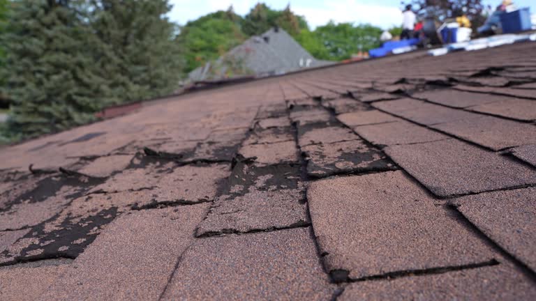 Best Asphalt Shingles Roofing  in Lochsloy, WA